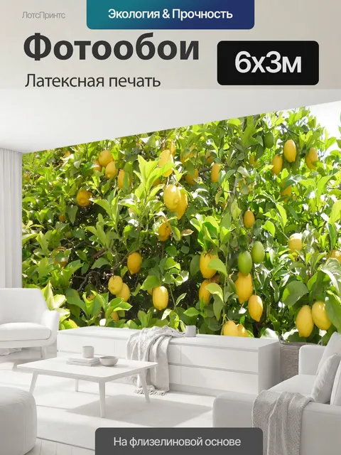 600 × 300 см · Латексная печать