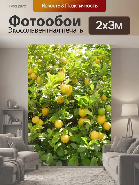 200 × 300 см · Экосольвентная печать