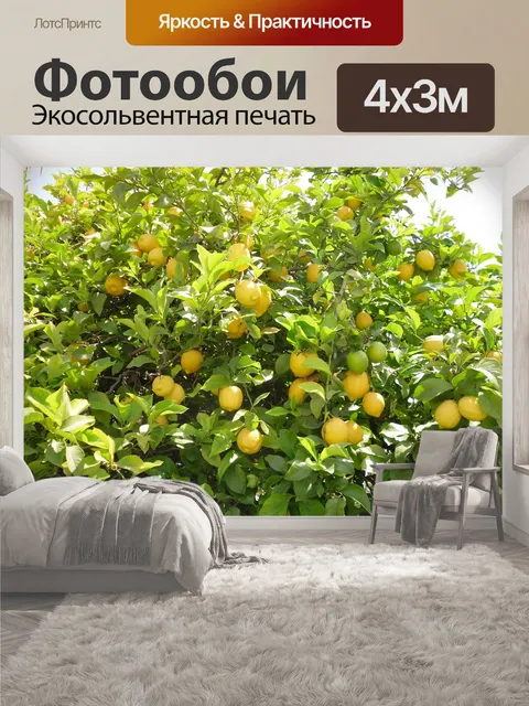 400 × 300 см · Экосольвентная печать