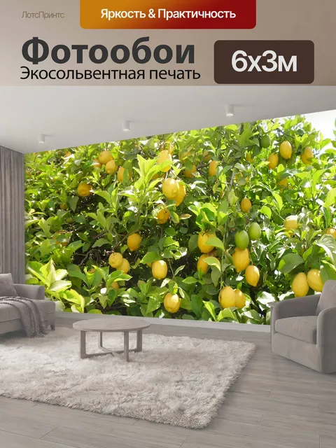 600 × 300 см · Экосольвентная печать