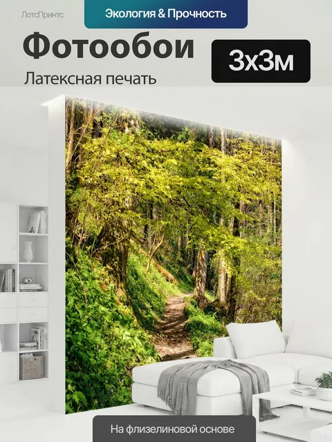 300 × 300 см · Латексная печать