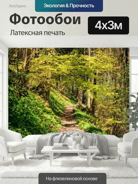 400 × 300 см · Латексная печать
