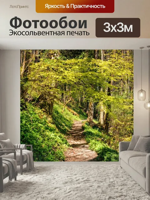 Фотообои Дорожка, лес, поход