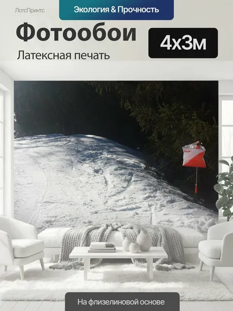 400 × 300 см · Латексная печать