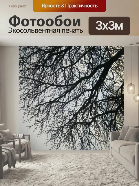 Фотообои Дерево, ветви, осень