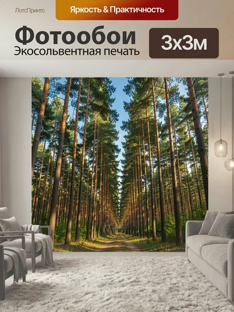 Фотообои Сосновый лес с грунтовой дорогой
