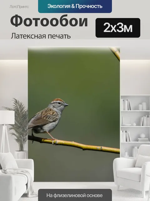 200 × 300 см · Латексная печать