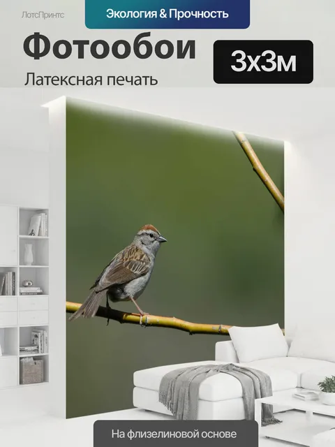 300 × 300 см · Латексная печать