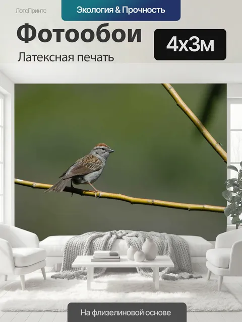 400 × 300 см · Латексная печать