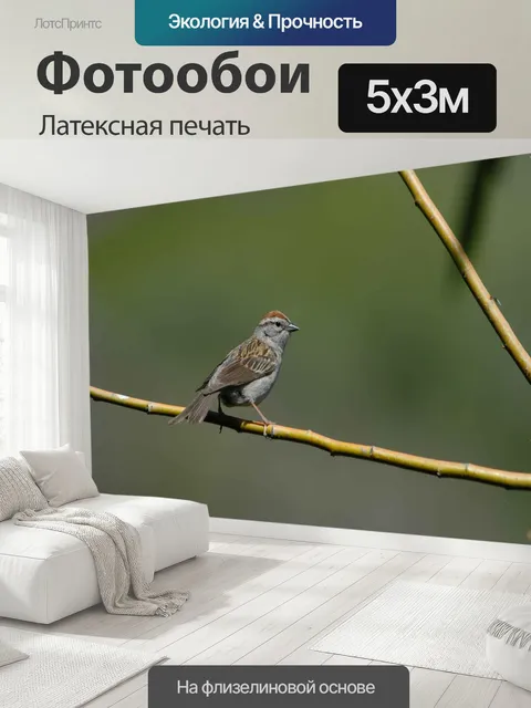 500 × 300 см · Латексная печать