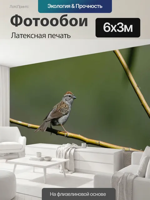 600 × 300 см · Латексная печать