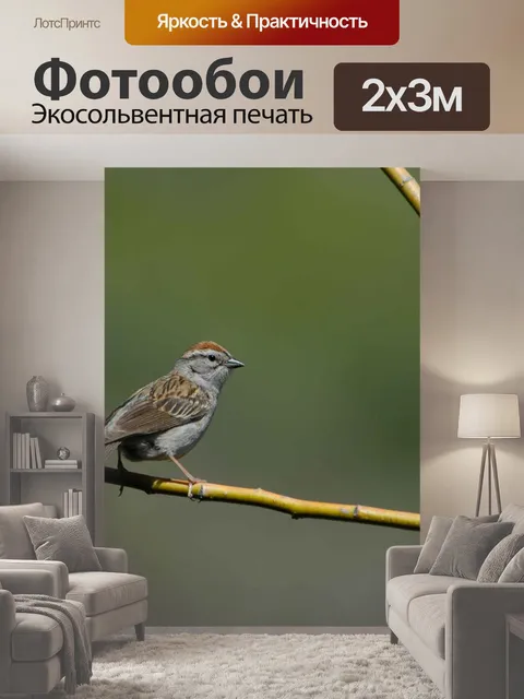 200 × 300 см · Экосольвентная печать