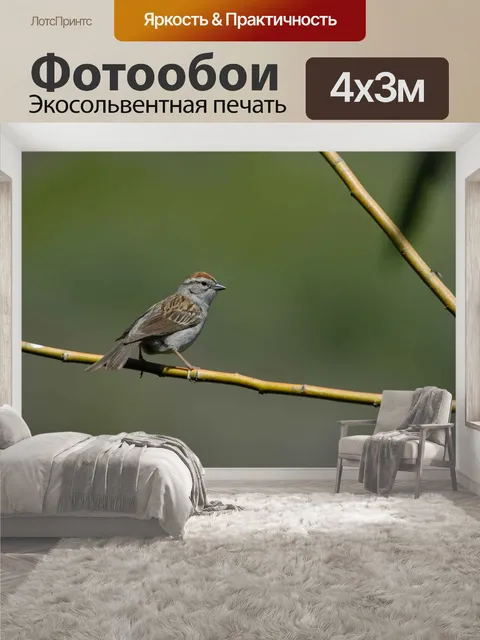 400 × 300 см · Экосольвентная печать