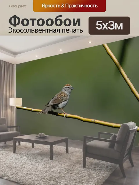 500 × 300 см · Экосольвентная печать
