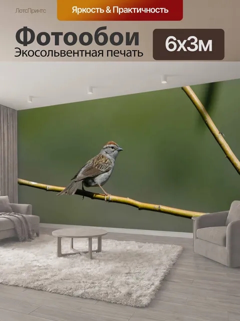 600 × 300 см · Экосольвентная печать