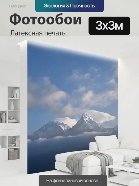300 × 300 см · Латексная печать
