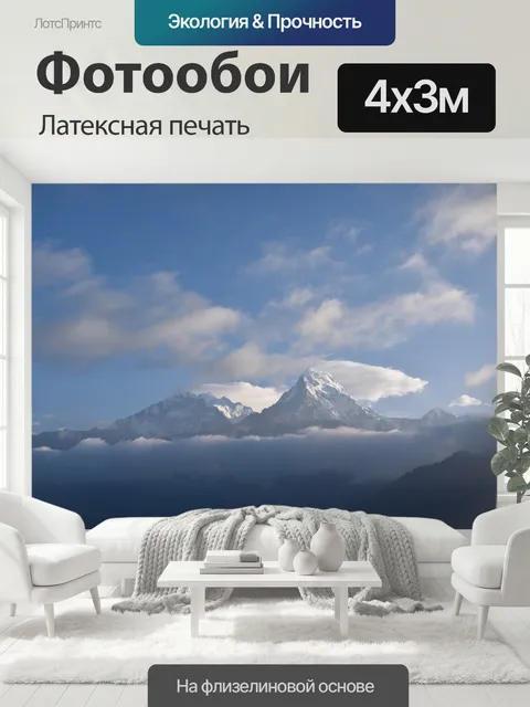 400 × 300 см · Латексная печать