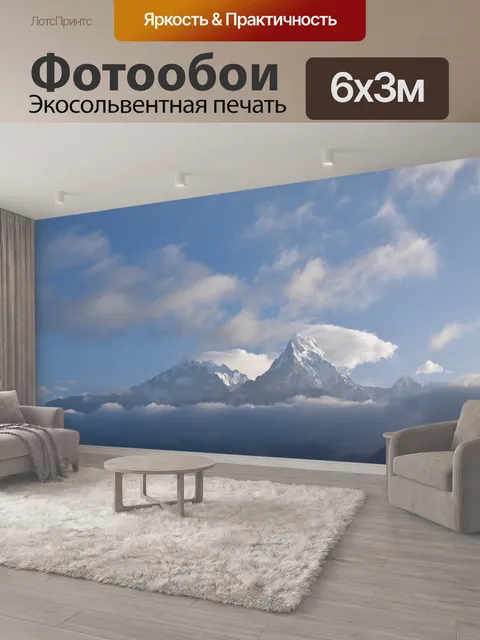 600 × 300 см · Экосольвентная печать