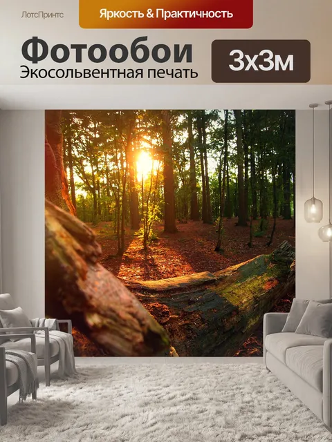 Фотообои Лес, вечер, заходящее солнце