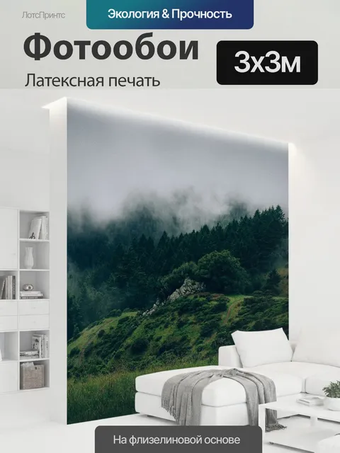 300 × 300 см · Латексная печать