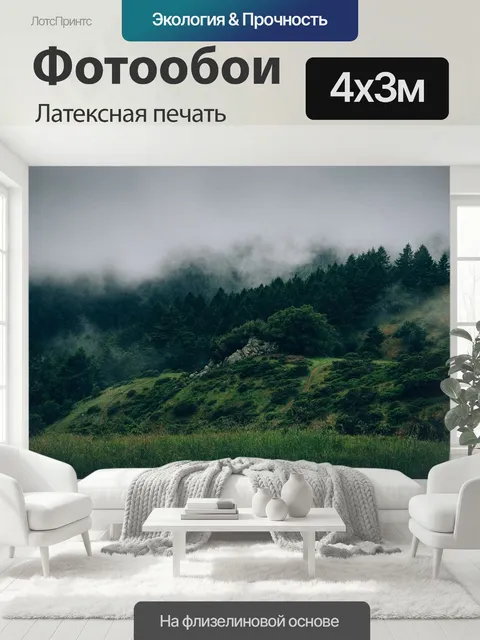 400 × 300 см · Латексная печать