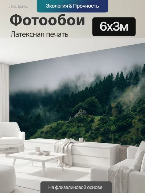 600 × 300 см · Латексная печать