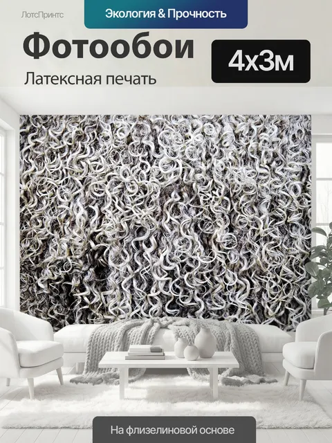400 × 300 см · Латексная печать