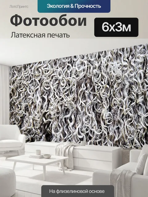 600 × 300 см · Латексная печать