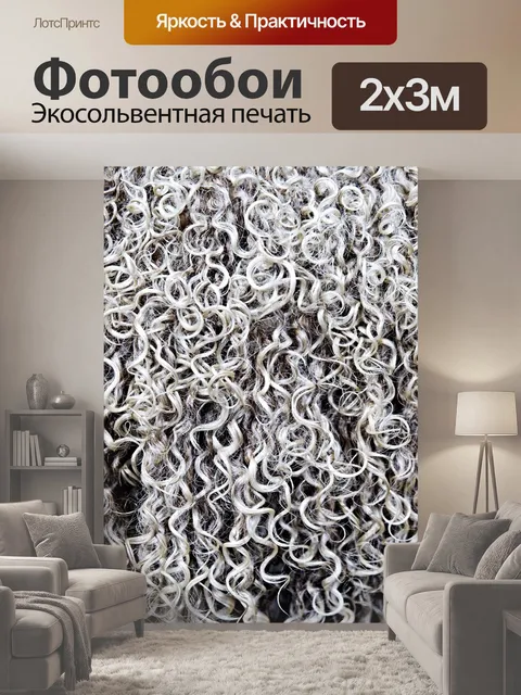 200 × 300 см · Экосольвентная печать