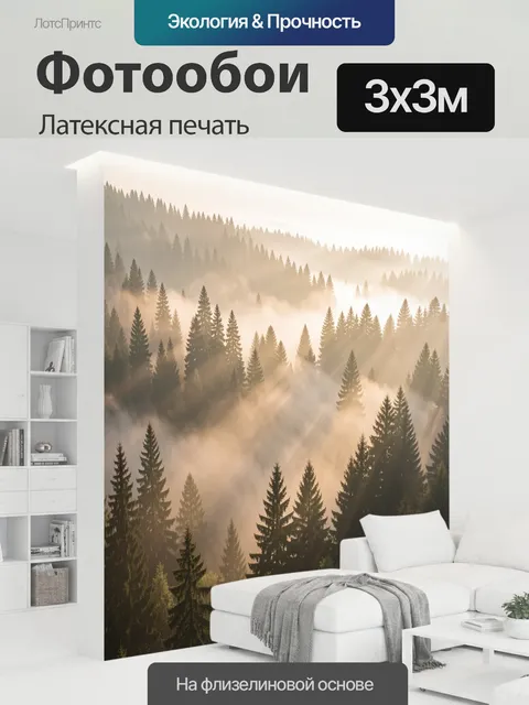 300 × 300 см · Латексная печать