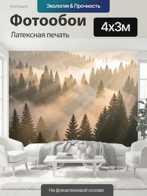 400 × 300 см · Латексная печать