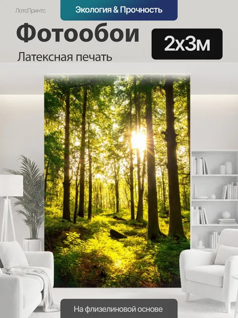 200 × 300 см · Латексная печать