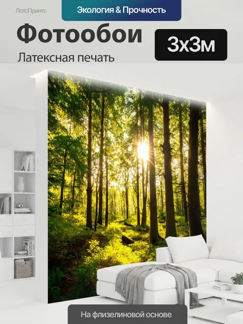 300 × 300 см · Латексная печать