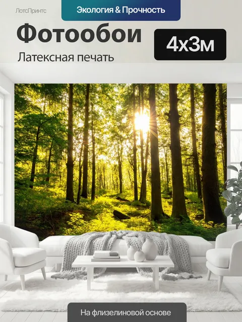 400 × 300 см · Латексная печать