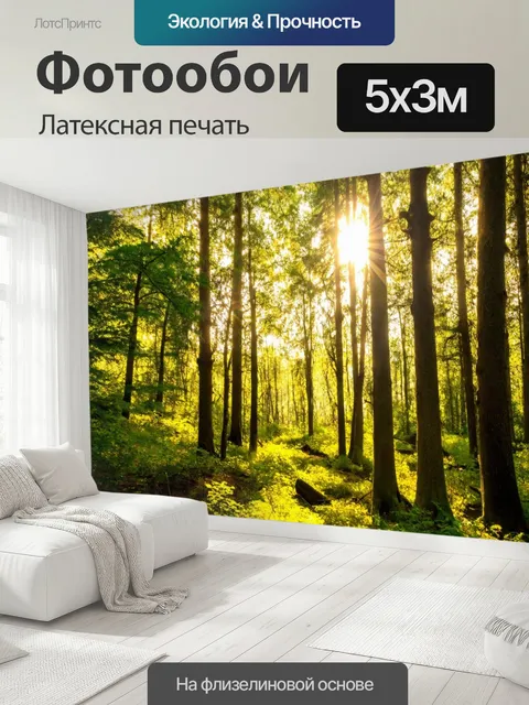500 × 300 см · Латексная печать