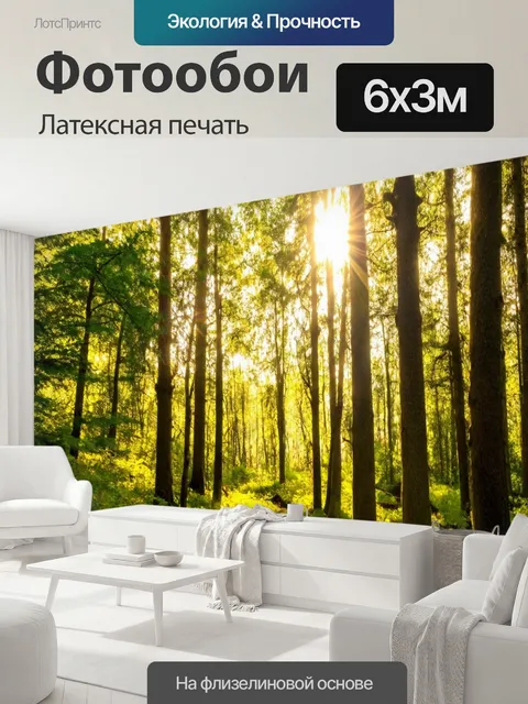600 × 300 см · Латексная печать