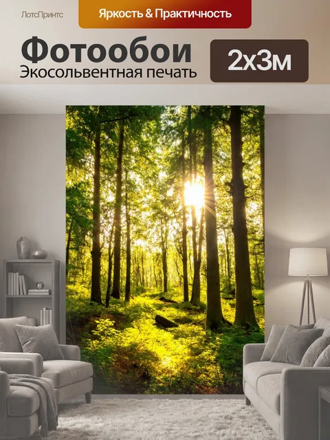 200 × 300 см · Экосольвентная печать