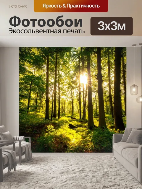 Фотообои Солнечный лес, пробуждающийся рассвет, веселые звуки природа, возвращение к жизни