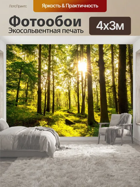 400 × 300 см · Экосольвентная печать