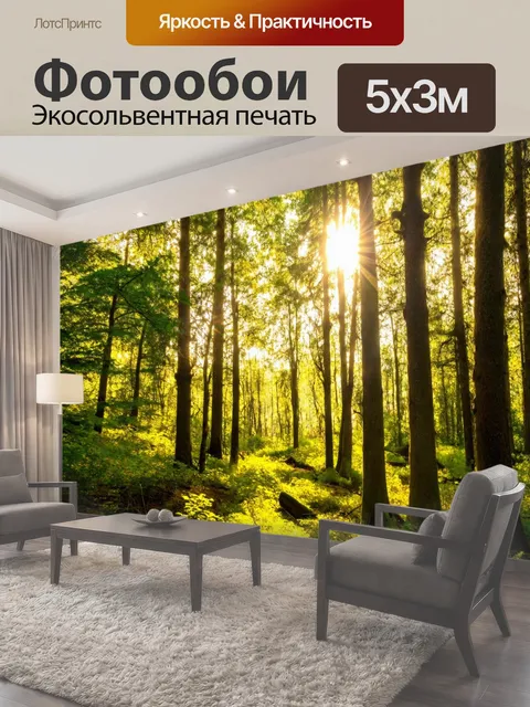 500 × 300 см · Экосольвентная печать