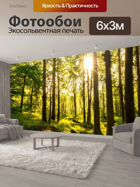 600 × 300 см · Экосольвентная печать