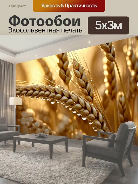 Фотообои Макрофотография с деталями зерен пшеницы, капли росы сверкают на колосьях под утренним солнцем