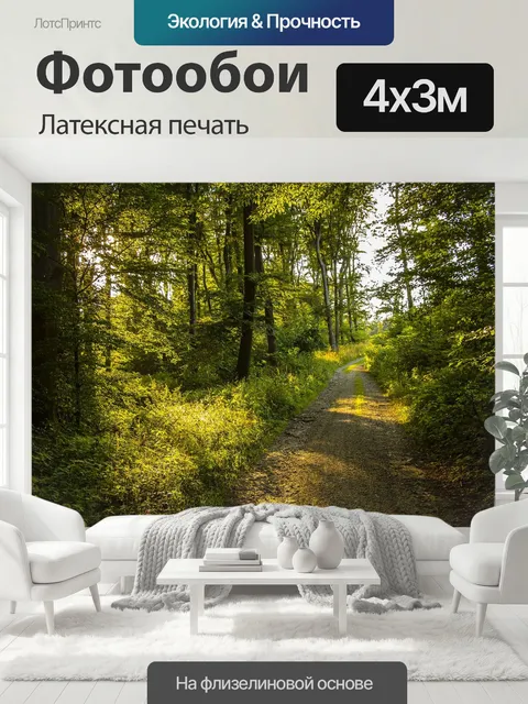 400 × 300 см · Латексная печать