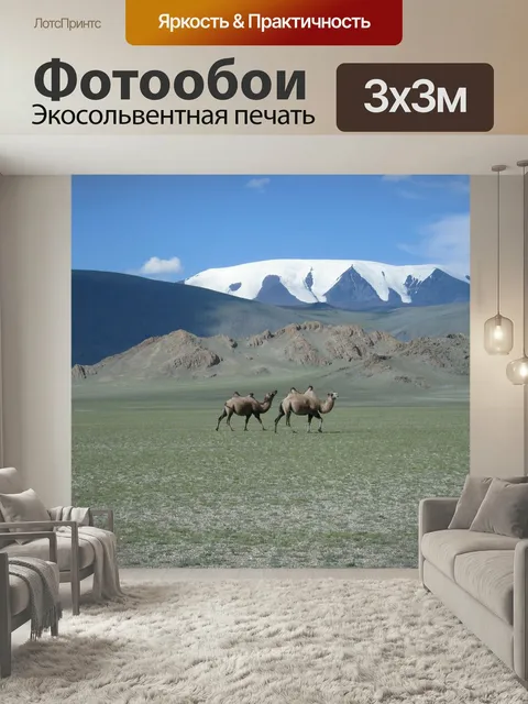 Фотообои Монголия, ледник, верблюды