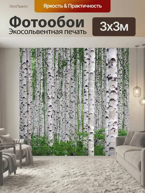 Фотообои Лес, береза, природа