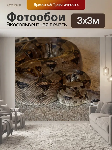 Фотообои Боа, змея, домашний питомец