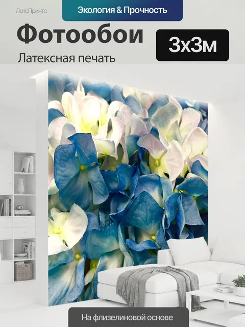 300 × 300 см · Латексная печать