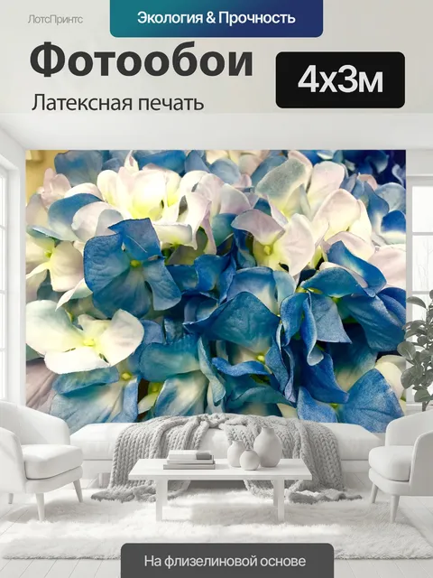 400 × 300 см · Латексная печать