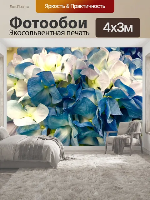 400 × 300 см · Экосольвентная печать