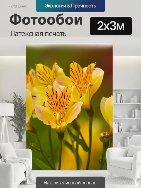 200 × 300 см · Латексная печать